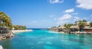 Worst Things to Tell a Flight Attendant